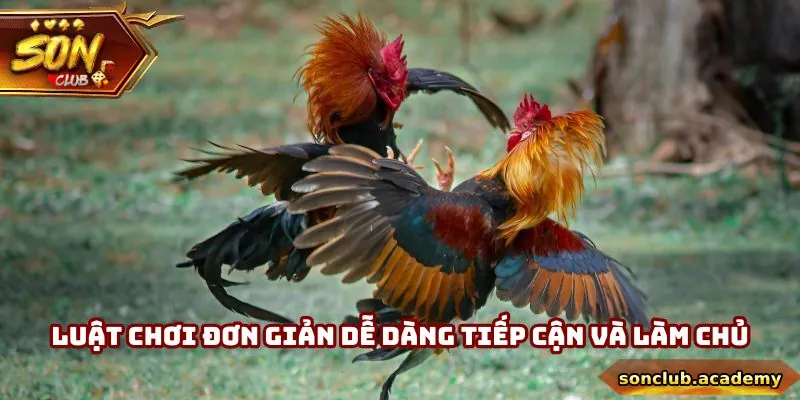 Luật chơi đơn giản giúp hội viên dễ dàng tiếp cận và tăng cơ hội làm giàu