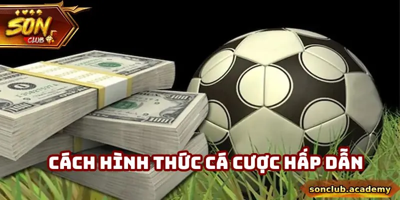 Tổng hợp các hình thức hấp dẫn nhất trên thị trường hiện tại